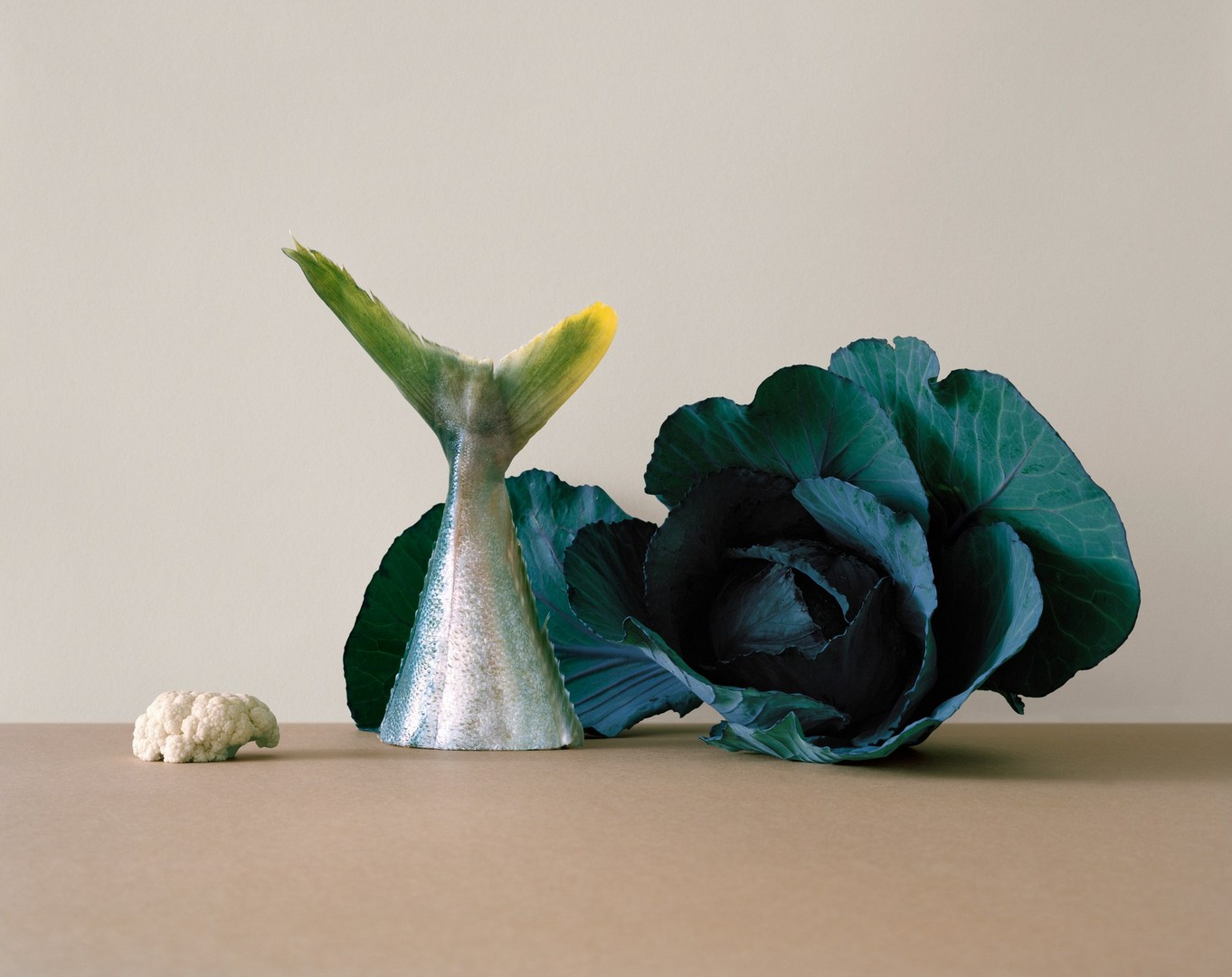 Photo: Derek Henderson